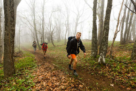 Hikers walk on a foggy forest trailの写真素材
