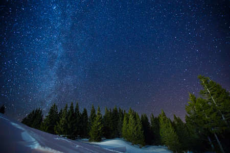 Beautifull scenery of a night winter starry sky above pine forest, long exposure photo of midnight...