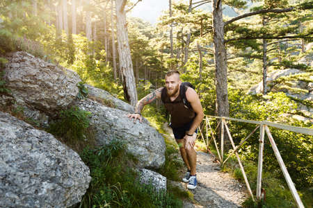 Hikers walk on asunny mountain forest trailの写真素材