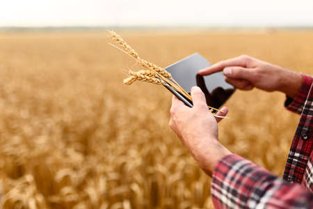 Smart farming using modern technologies in agriculture. Man agronomist farmer with digital tablet...
