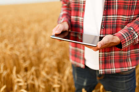 Smart farming using modern technologies in agriculture. Man agronomist farmer with digital tablet computer in wheat field using apps and internet, selective focusの写真素材