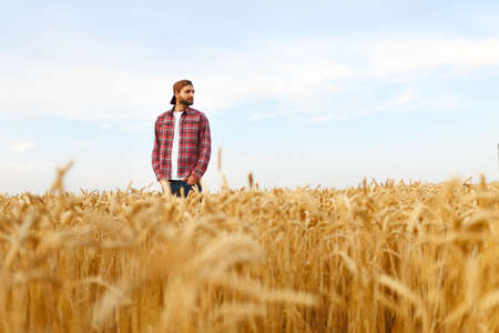 Portrait of a bearded farmer standing in a wheat field. Stilish hipster man with trucker hat and checkered shirt on. Agricultural workerの写真素材