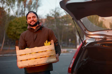Man with wooden box of yellow ripe golden apples at the orchard farm loads it to his car trunk. Grower harvesting in the garden is holding organic apple crate. Harvest Concept. Housewifely male bought fruits.の写真素材