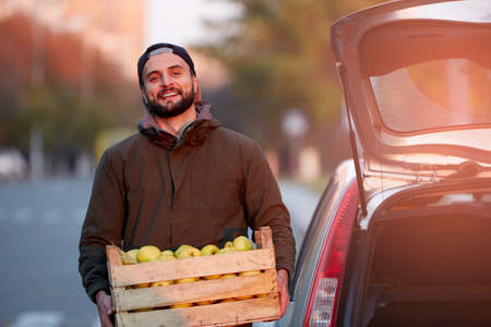 Man with wooden box of yellow ripe golden apples at the orchard farm loads it to his car trunk. Grower harvesting in the garden is holding organic apple crate. Harvest Concept. Housewifely male bought fruits.の写真素材
