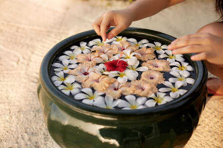 Woman makes decor arrangement in green bowl on the water of frangipani plumeria flowers. Isolated view of hands and floristic composition. Aroma spa concept.の写真素材