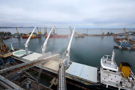 Big grain terminal at seaport. Cereals bulk transshipment from road transport to vessel. Loading...