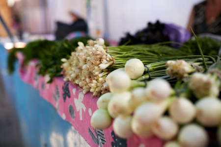 Display of fresh green and white onions and garlic. Fruits and vegetables at a farmers summer market.の写真素材