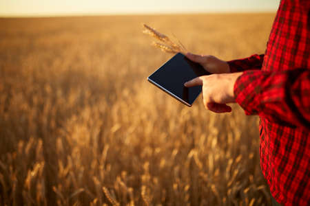 Smart farming using modern technologies in agriculture. Man agronomist farmer with digital tablet...