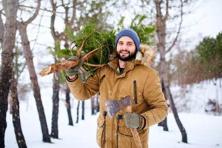 Bearded man carrying freshly cut down christmas tree in forest. Lumberjack holds axe and fir tree on his shoulder in the woods. Irresponsible behavior towards nature, save forest, keep green concept.の写真素材