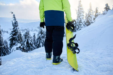 Back view of snowboarder climbing with his board on the mount for backcountry freeride session in...