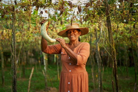 Senior Indian rural female farmer holding her vegetables harvest smiling happily. Elderly Sri Lankan cheerful woman on her farm showing ripe vegetable hanging from above. Farming and gardening conceptの写真素材