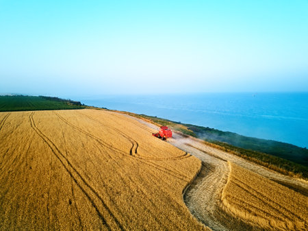 Aerial of red combine harvester working in wheat field near cliff with sea view on sunset. Harvesting machine cutting crop in farmland near ocean. Agriculture, harvesting season. Landscape scenic.の写真素材