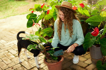 Young caucasian female gardener with pet dog planting flowers smiling happily. Junior cheerful woman...