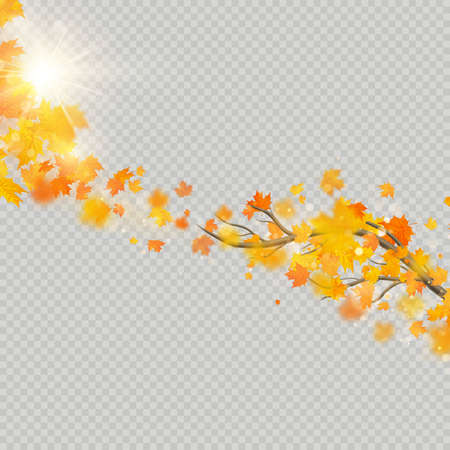 Fall maple leaves with delicate sun for decoration. Autumn leaves border template. Design element.のイラスト素材