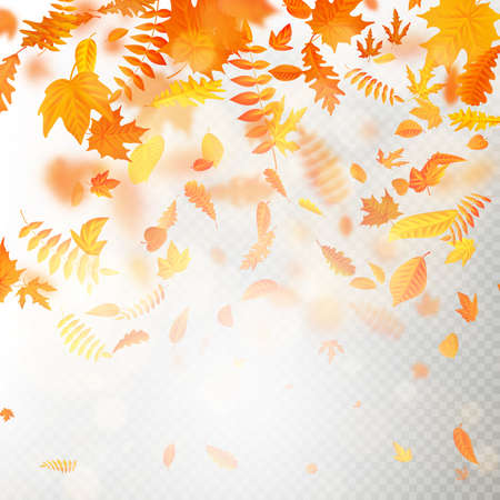 Effect of autumn falling leaves layer with shallow DOF blur. Autumnal foliage fall template. Warm color. EPS 10 vector fileのイラスト素材