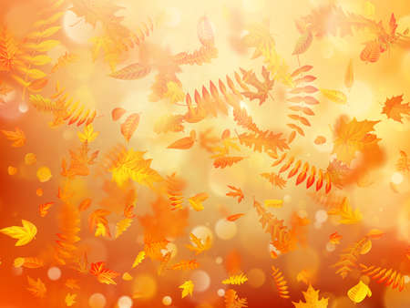 Autumn background with natural leaves and bright sunlight. EPS 10 vector fileのイラスト素材