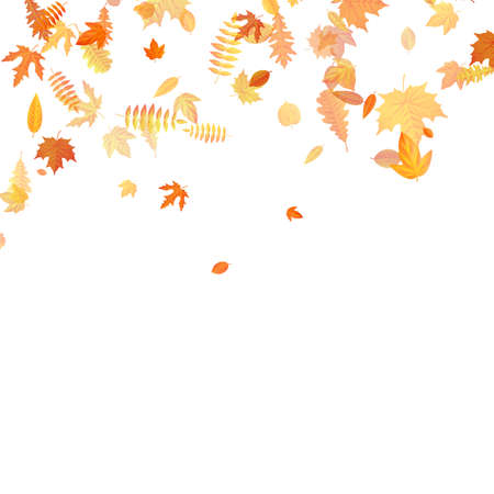 Autumn background with golden maple, oak and others leaves. EPS 10 vector fileのイラスト素材