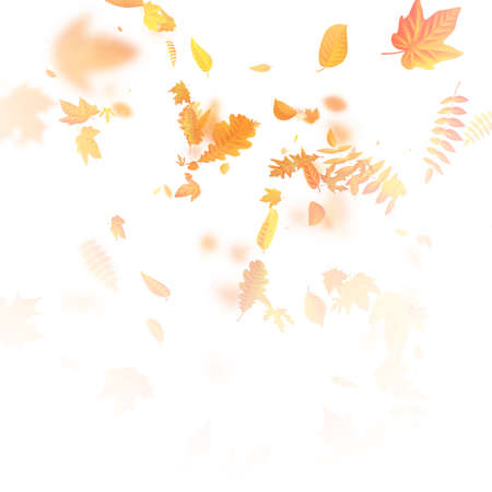 Autumnal foliage fall and poplar leaf flying in wind motion blur. EPS 10 vector fileのイラスト素材