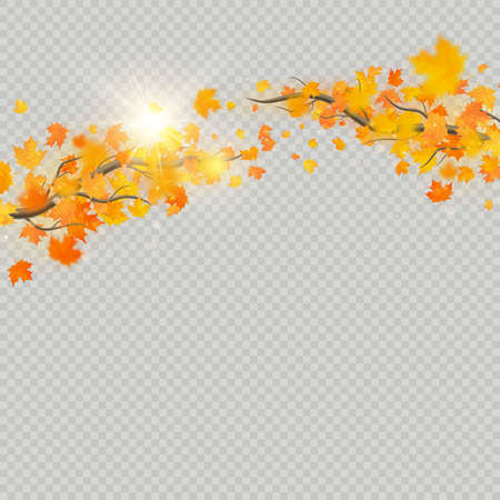 Fall maple leaves with delicate sun for decoration. Autumn leaves border template. Design element. EPS 10 vector fileのイラスト素材