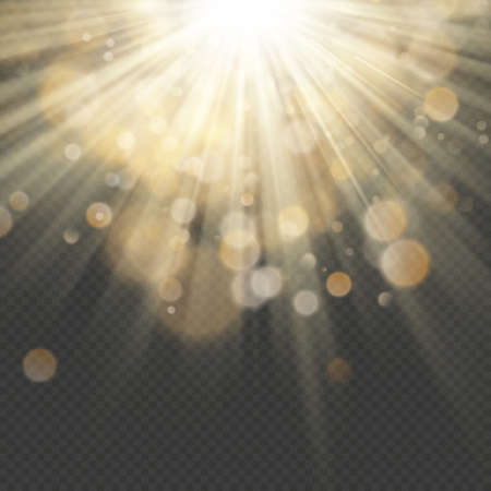 Light effect with glitter, sequins. Shining rays with bokeh. Sun particles and sparks with a highlight. EPS 10 vector fileのイラスト素材