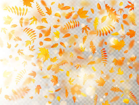 Effect of autumn falling leaves layer with shallow DOF blur. Autumnal foliage fall template. Warm color. EPS 10 vector fileのイラスト素材