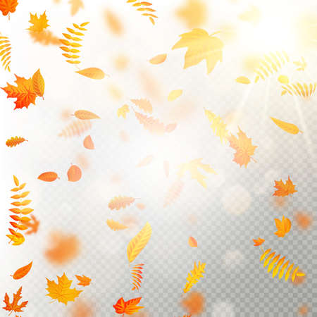 Effect of autumn falling leaves layer with shallow DOF blur. Autumnal foliage fall template. Warm color. EPS 10 vector fileのイラスト素材