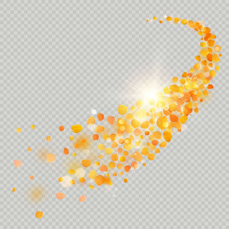 Fall maple leaves with delicate sun for decoration. Autumn leaves border template. Design element. EPS 10 vector fileのイラスト素材