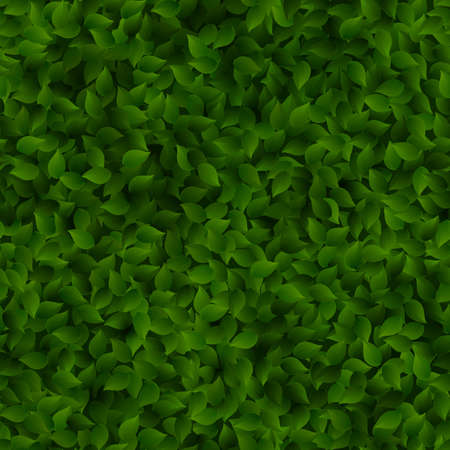 Seamless green leaves pattern spring or summer fresh background. EPS 10 vector file includedのイラスト素材