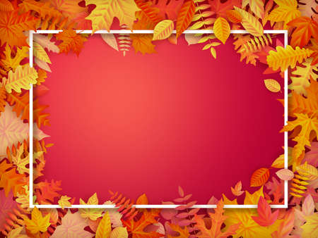 Autumn sale background layout in frame from leaves. Shopping sale or promo poster and frame leaflet...