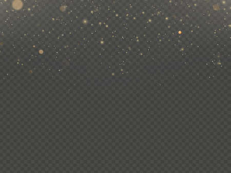 Overlay effect for luxury greeting rich card. Star dust light on transparent background. EPS 10 vector fileのイラスト素材