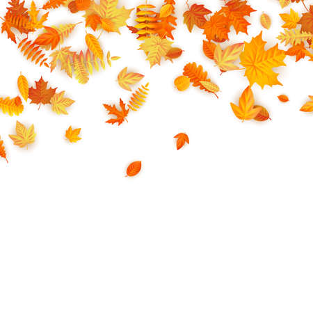 Autumn background with golden maple, oak and others leaves. EPS 10のイラスト素材