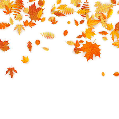 Autumn background with golden maple, oak and others leaves. EPS 10のイラスト素材