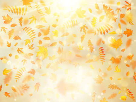 Beautiful autumn background with maple autumn leaves and delicate sun. EPS 10のイラスト素材