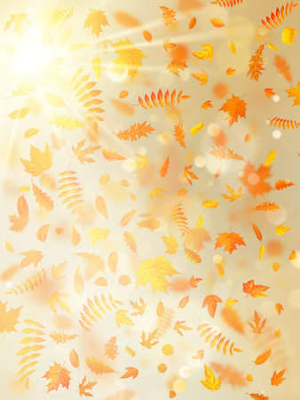 Beautiful autumn background with maple autumn leaves and delicate sun. EPS 10のイラスト素材