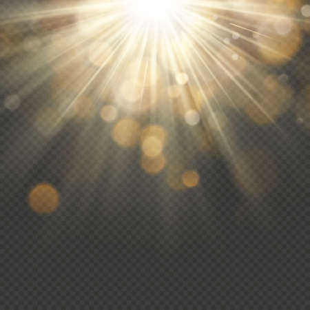 Light effect with glitter, sequins. Shining rays with bokeh. Sun particles and sparks with a highlight.の写真素材