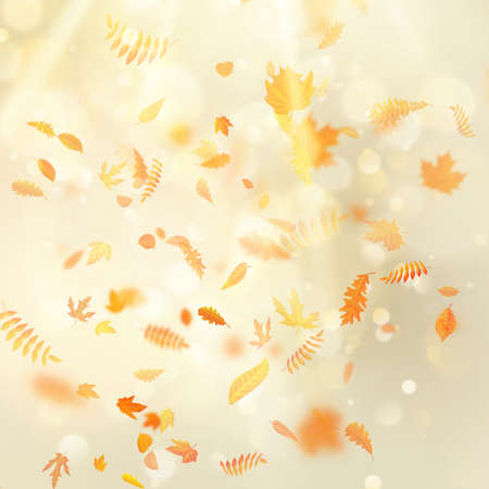 Autumn background with natural leaves and bright sunlight.の写真素材
