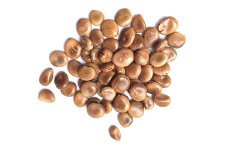 Pebble tamarind seeds isolated with white background.の写真素材