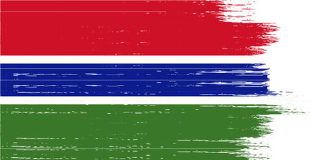 Gambia flag with brush paint textured isolated  on png  backgroundのイラスト素材