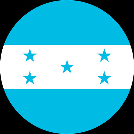 Guyana flag button on white backgroundのイラスト素材