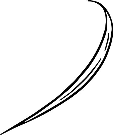 Leaf isolated  on white backgroundのイラスト素材