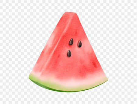 Watercolor slice of red watermelon for tropical summer food concepts. vector.のイラスト素材