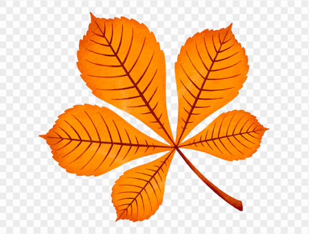 Chestnut leaf with autumn color tones in watercolor style, detailed hand painted clipart. Vector.のイラスト素材