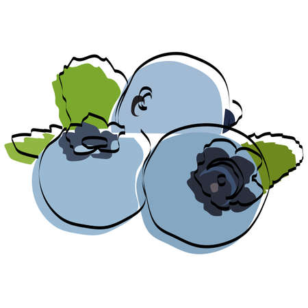 Silhouette of berries. Blueberry Vector illustration.のイラスト素材