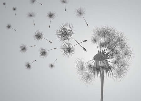 dandelion on grey background. Flying spores. Concept of wishing, tenderness and summer time.のイラスト素材
