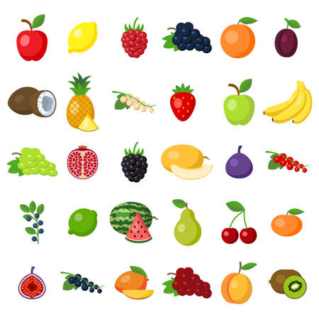 Fruits set on white. fruits including apple, lemon, raspberry, grape, orange, plum, coconut, pineapple, white currant, strawberry, banana, pomegranat, blackberry, melon, fig, lime, pear, cherry, kiwi.のイラスト素材