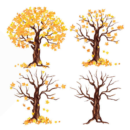 weatercolor autumn tree set on white background. Yellow and orange leaves falling.のイラスト素材