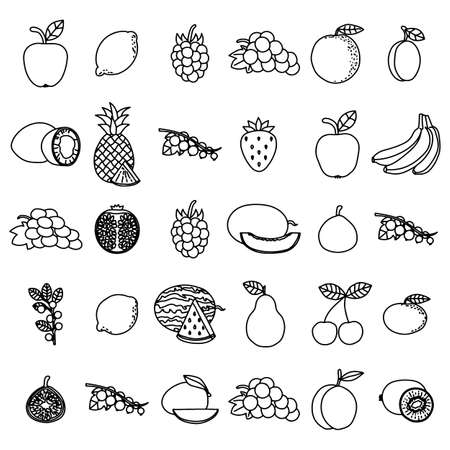 Hand drawn fruits set on white background. All kinds of fruits and berries. Graphic art for coloring book or decoration.のイラスト素材
