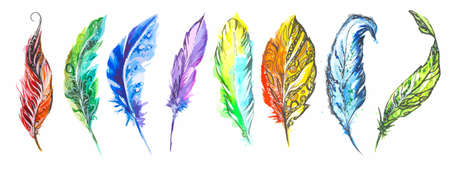 Watercolor colorful feathers set on white background. Birds feathers for boho style and decoration.のイラスト素材