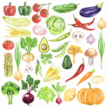 Watercolor vegetables set. Fresh and healthy vegetables on white background. Great source of vitamin.のイラスト素材
