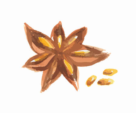 Watercolor star anise. Isolated spice on white background. Seasoning for meal or dessert.のイラスト素材